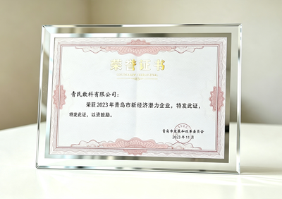 新经济潜力企业
