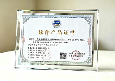 软件技术企业
